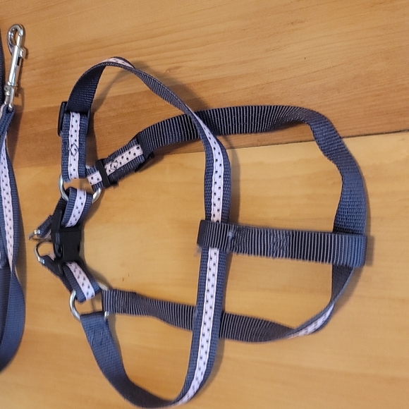 Femle Dog Polkadot HARNESS and MATCHING LEASH - Picture 4 of 10